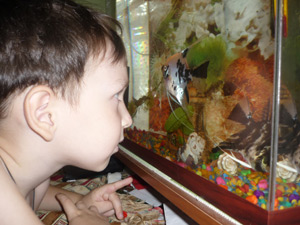 Фото к статье Ребенок и аквариум 6.jpg