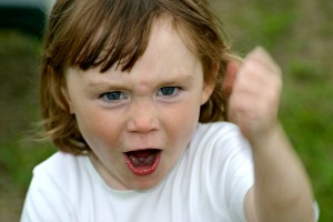 Фото к статье Как справиться с детской агрессией 4.jpg