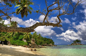 Фото к статье Сейшельские острова 6.jpg