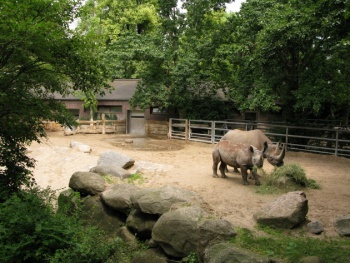 Фото к статье Зоопарк 4.jpg