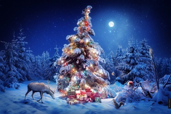 Фото к статье Превращаем новогоднюю елку в произведение искусства 2.jpg