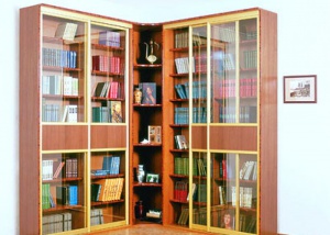 Книжный шкаф.jpg