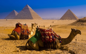Фото к статье Самые недорогие туристические направления для россиян (Египет) 3.jpg