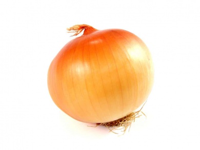 Onion00000.jpg