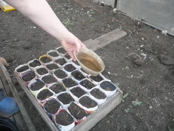 Фото к статье Подготовка почвы для рассады 5.jpg