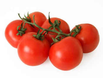 Tomatoes888.jpg