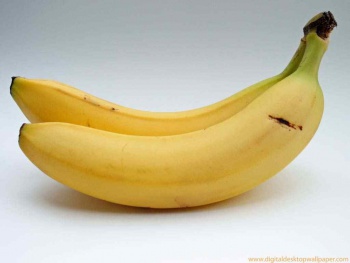Banana0000.jpg