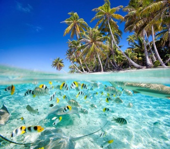 Фото к статье Сейшельские острова 1.jpg