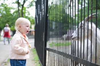 Фото к статье Поход с ребенком в зоопарк 1.jpg