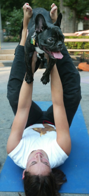 Dog yoga 6.jpg