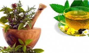 Herbal.jpg