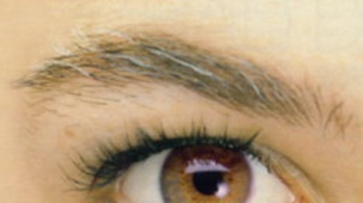 Gray-Eyebrows 1.jpg