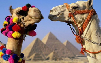 Фото к статье Туристические особенности Египта 1.jpg