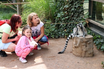 Фото к статье Поход с ребенком в зоопарк 2.jpg
